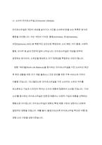 소비자 행동변화 사례, 소비자 개성과 라이프 스타일, 소비자 태도와 태도변화 총체적 조사분석-5