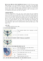 모성간호학실습/여성건강간호학실습 A+ 간호과정 보고서/Case Study_자궁내막암(Endometrial Cancer)-6