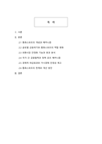 통화스와프가 경제·금융 외환시장에 미치는 영향 분석-2