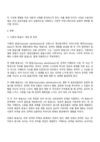 미디어영상학과 3학년 2학기 사진영상론 2025방통대 중간과제물-2