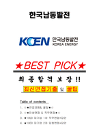 한국남동발전 면접기출(최신)+꿀팁[최종합격!] +1000대기업 1차 직무면접 + 2차 임원면접 최종합격자 답안-1