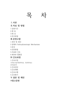 [성인간호실습] 위궤양 케이스-2