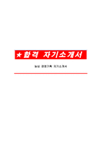 농심 경영기획 자기소개서-1