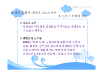 [현대문화론] 동성애와 크로스 오버-11