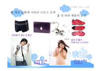 [현대문화론] 동성애와 크로스 오버-14