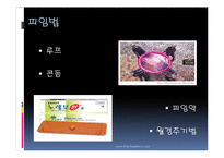 [청소년 심리학] 청소년기의 성-15
