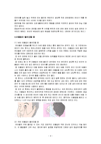 [아동안전관리] 응급처치-9