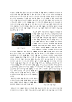 [이상심리학] 우울증의 사례 연구 -디 아워스 & 여인의 향기를 통하여-14