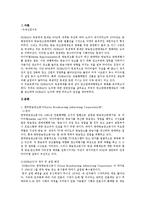[방송학개론] 한국방송광고공사 독점체제문제-2