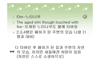 Robert frost(로버트 프로스트)-12