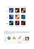 [국문학] 동물상징을 이용한 콘텐츠 기획안-9