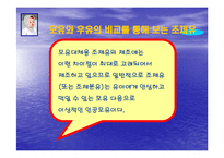 조제유의 인공영양실태와 방안-6