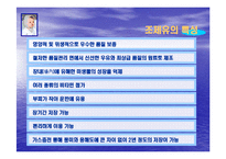 조제유의 인공영양실태와 방안-7