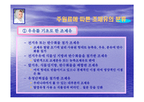 조제유의 인공영양실태와 방안-8