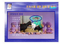 조제유의 인공영양실태와 방안-19