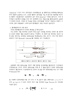 [생체유체역학] 혈전혈관에서 혈류의 유동-2