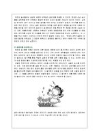 [미생물학] GMO에 대한 반대-9