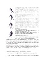 [생활스포츠] 스키 타는법-9