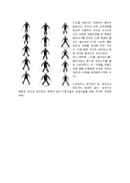 [생활스포츠] 스키 타는법-13