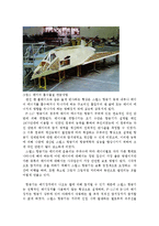 [창의적 공학 설계] 스텔스(Stealth) 항공기 기술-3