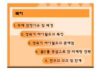 [마케팅] 싸이월드 `홈2`를 중심으로 한 마케팅 전략-2