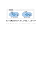 국민은행 기업가치분석 및 평가-13
