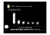 [매체기획론] 도루코 DORCO 매체전략안-3
