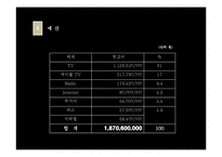 [매체기획론] 도루코 DORCO 매체전략안-8