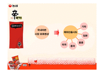 [광고홍보론] 농심 신라면 독일 광고홍보-3