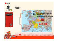 [광고홍보론] 농심 신라면 독일 광고홍보-5