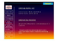 [소비자행동분석] Friday`s 소비자 행동분석 및 마케팅-13