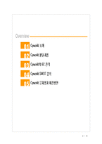 [인터넷마케팅] 싸이월드 분석-2