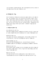 [국제마케팅] 국제광고전략-17