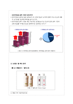 [마케팅] 샴푸 제조업에 대한 산업분석과 미쟝센 브랜드의 제품,마케팅적 전략제시-16
