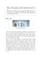 [마케팅] 샴푸 제조업에 대한 산업분석과 미쟝센 브랜드의 제품,마케팅적 전략제시-18