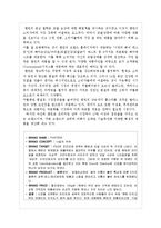 [마케팅] 샴푸 제조업에 대한 산업분석과 미쟝센 브랜드의 제품,마케팅적 전략제시-19