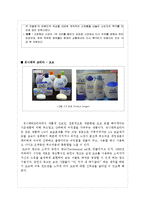 [마케팅] 샴푸 제조업에 대한 산업분석과 미쟝센 브랜드의 제품,마케팅적 전략제시-20