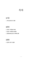 [마케팅] 싸이월드 `홈2`를 중심으로 한 마케팅 전략-1