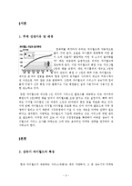 [마케팅] 싸이월드 `홈2`를 중심으로 한 마케팅 전략-2
