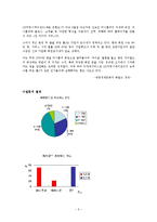 [마케팅] 싸이월드 `홈2`를 중심으로 한 마케팅 전략-5