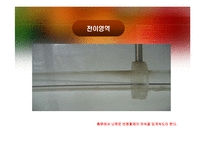 [단위조작실험] 레이놀즈수 실험-19