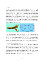 도교의 재해석 -불로장생술-4
