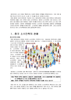 [중국사회] 중국의 소수민족 현황과 정책-3