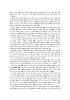 [한류열풍] 한류의 현상과 그 원인, 그리고 문제점-2