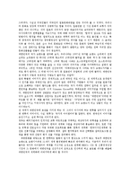 [한류열풍] 한류의 현상과 그 원인, 그리고 문제점-8