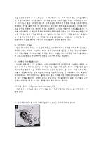 [결혼학] 낙태 레포트-7