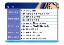 [전자상거래] 전문 쇼핑몰의 현황과 사례분석-2
