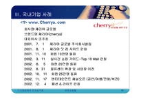[전자상거래] 전문 쇼핑몰의 현황과 사례분석-15