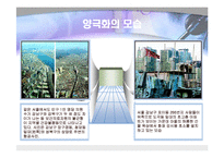 [사회학] 양극화의 원인과 실태 및 해결방안-4
