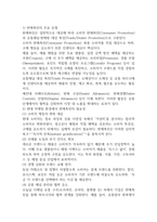 2025학년도 2학기 기말과제 통합마케팅커뮤니케이션 32p-5